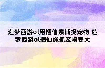 造梦西游ol用捆仙索捕捉宠物 造梦西游ol捆仙绳抓宠物变大